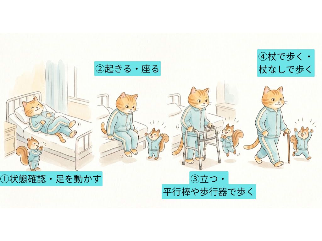 入院中のリハビリが進む流れを表したイラスト。ベッドで足を動かす、座る、歩行器で立つ、杖で歩く、と段階的に回復していく様子を猫のキャラクターが示している