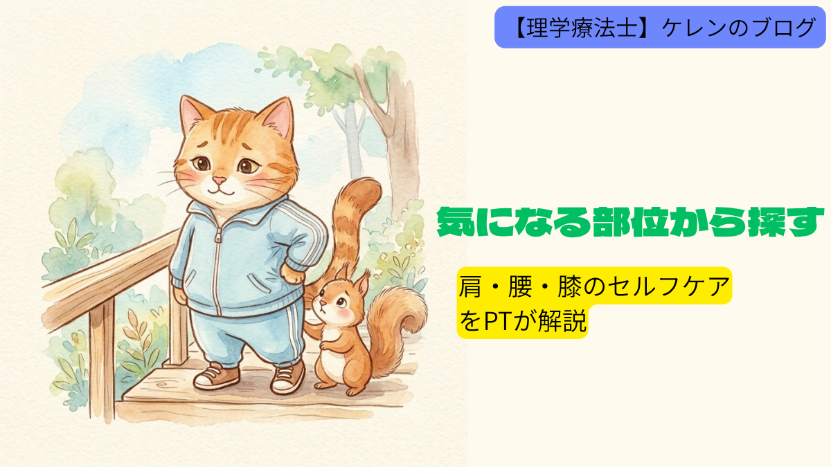 気になる部位から探す｜肩・腰・膝のセルフケアをPTが解説