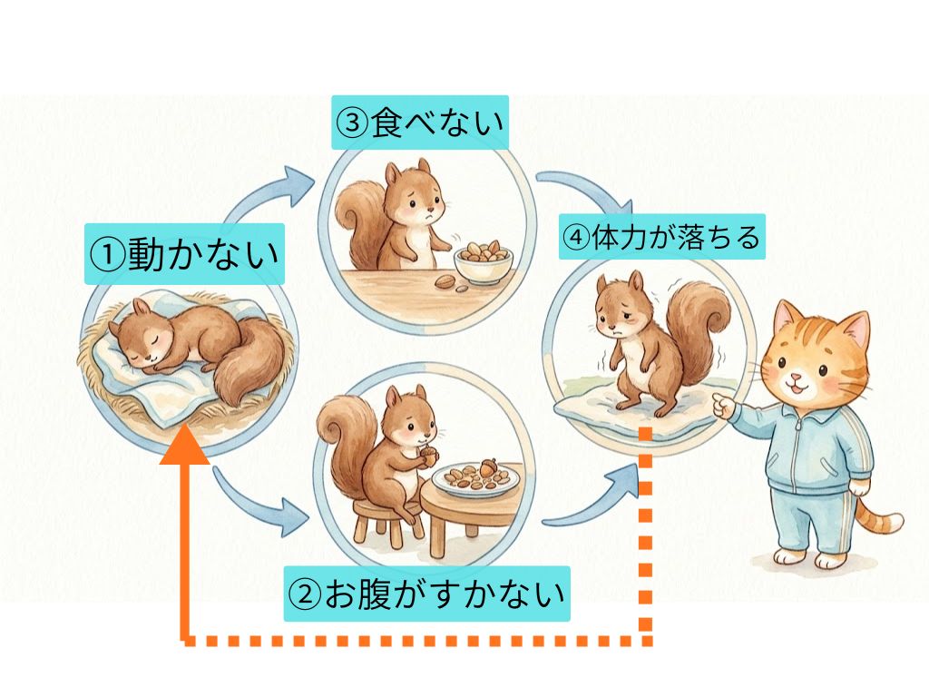 高齢者が食欲を失う悪循環を示したイラスト。動かない、お腹がすかない、食べない、体力が落ちる、の4段階が矢印でつながり、理学療法士のキャラクターがその関係を説明している