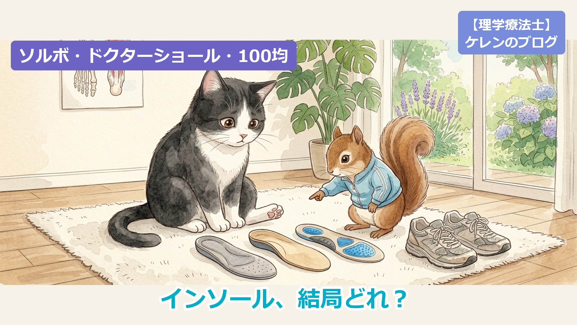 3枚のインソールを見比べる猫と、1枚を指さすリスのイラスト（ソルボ・ドクターショール・100均比較）