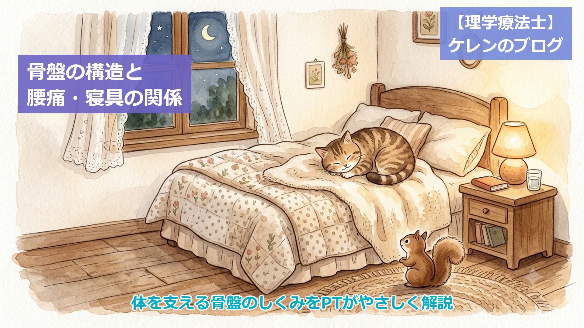 骨盤の構造と腰痛・寝具の関係 アイキャッチ画像（寝室のベッドで丸くなって眠る猫とリスのイラスト）