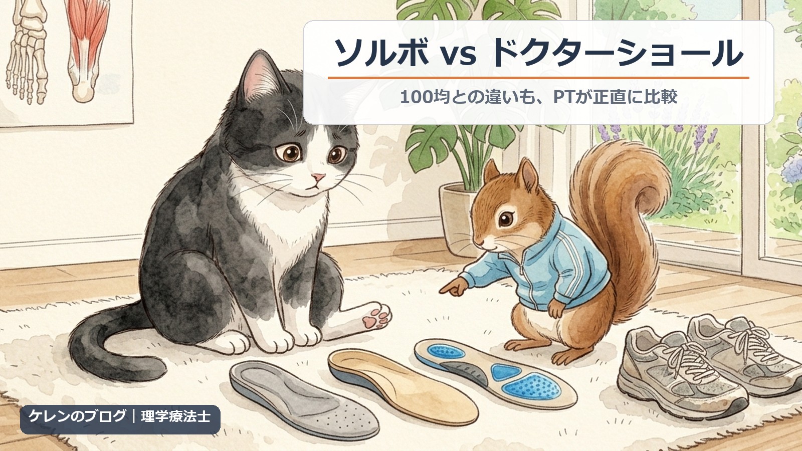 3種類のインソールを見比べる猫とリスのイラスト