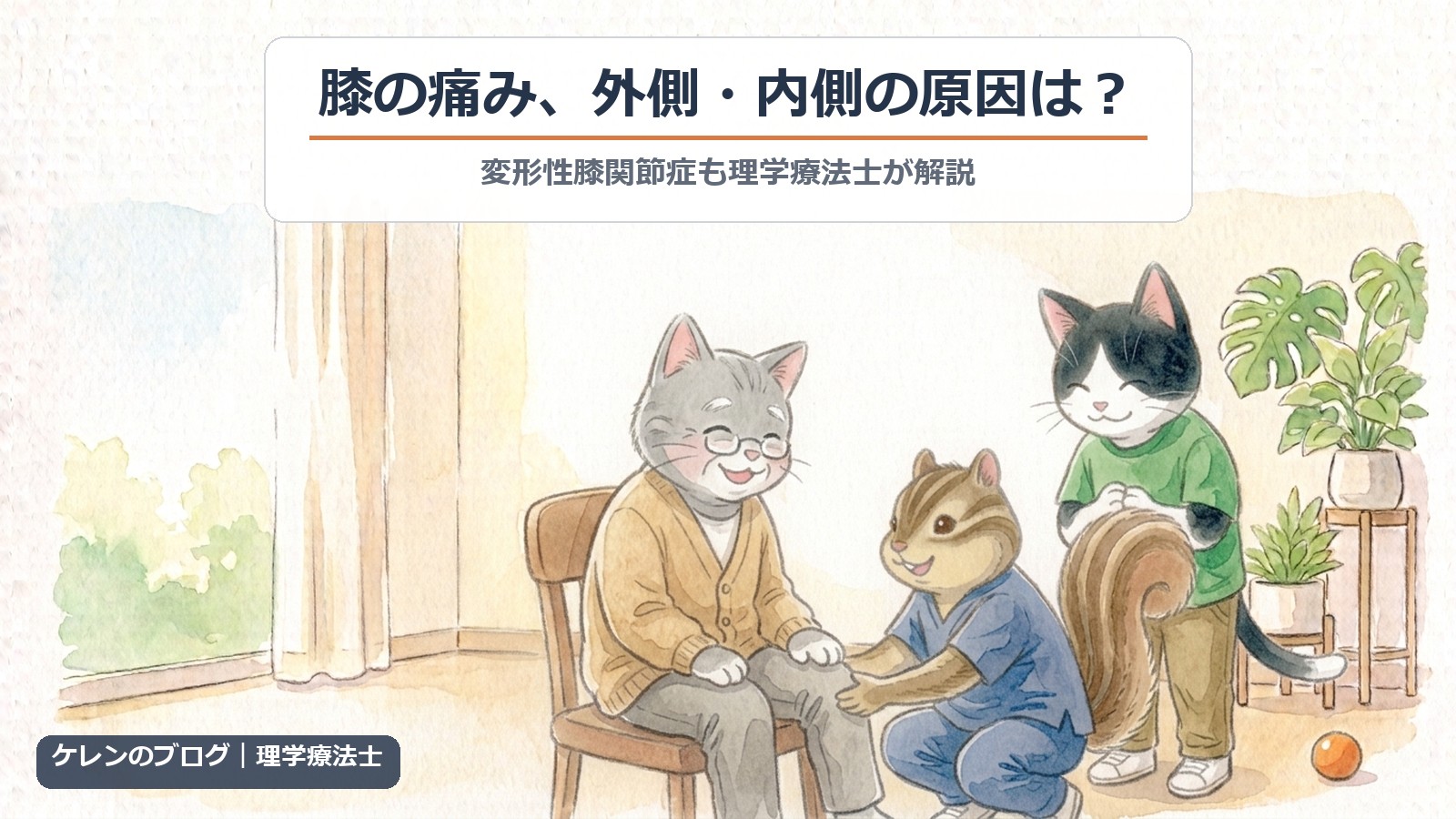 膝の痛みの外側・内側の原因｜変形性膝関節症も解説（猫とリスのイラスト）
