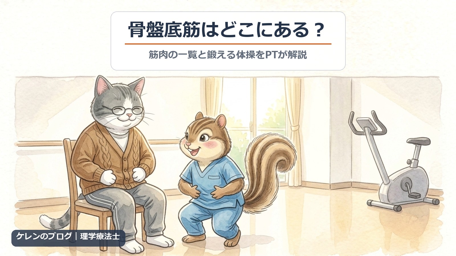 骨盤底筋はどこにある？｜椅子に座った親猫に理学療法士のリスがお腹の下を締める体操を教えるイラスト