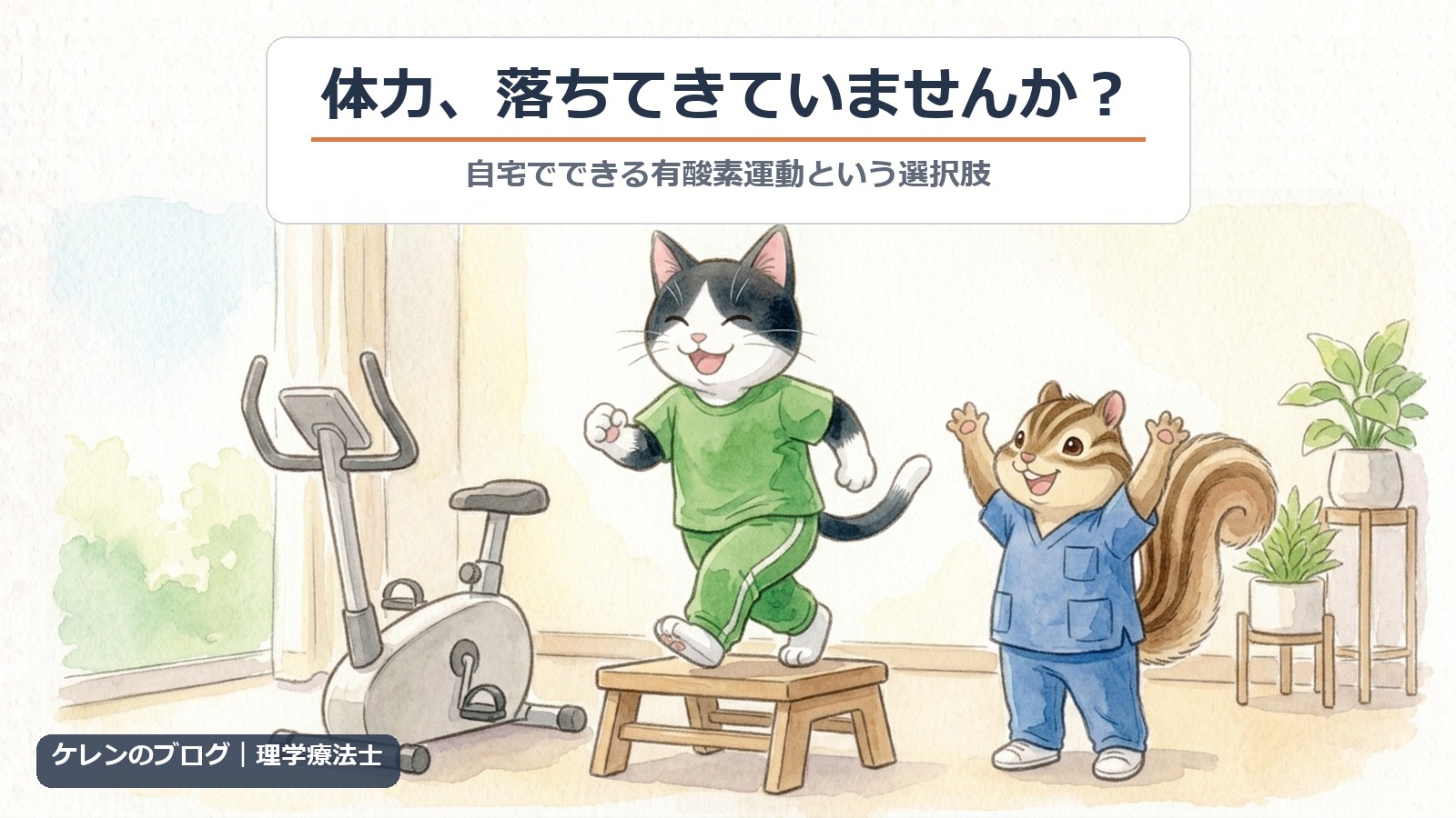 体力が落ちてきた人の自宅でできる有酸素運動（猫とリスのイラスト）