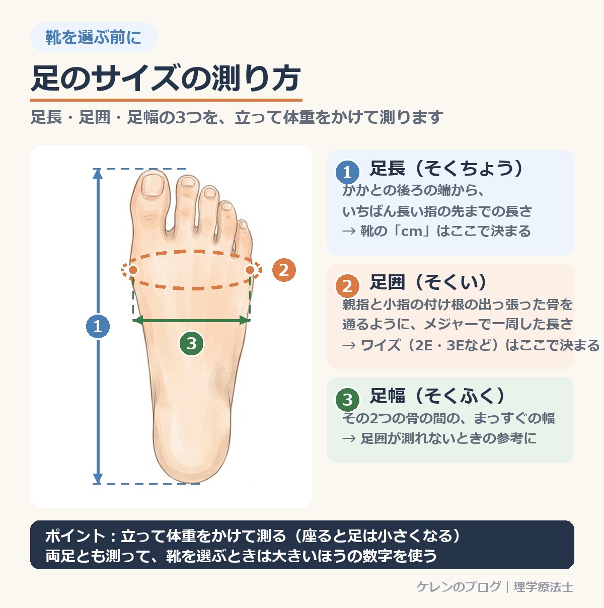 足のサイズの測り方の図:右足を上から見たイラストに、①足長(かかとからいちばん長い指の先)②足囲(親指と小指の付け根の骨を通って一周)③足幅(その2つの骨の間の幅)を示した